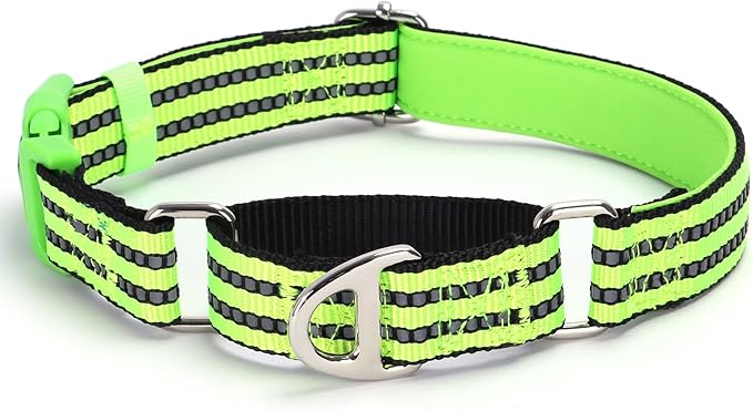 Martingale Collar for Dogs -Reflective Nylon No Slip Choke with Padded Comfort Heavy Duty Dog Collar with Quick Release Buckle for Training, Walking & Overexcited Pulling Green L