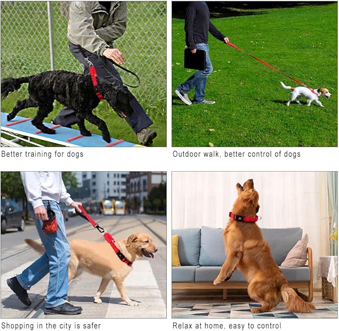 PLUTUS PET Reflective Martingale Collar with Quick Snap Buckle,No Pull Dog Choker Collar for Small Medium Large Dogs,XS,Red