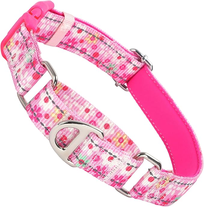 Pink Floral Martingale Collar for Dogs - Reflective Nylon with Quick Release Buckle & Padded Comfort - No Slip Choke Heavy Duty Collar for Training, Walking & Nighttime Use S