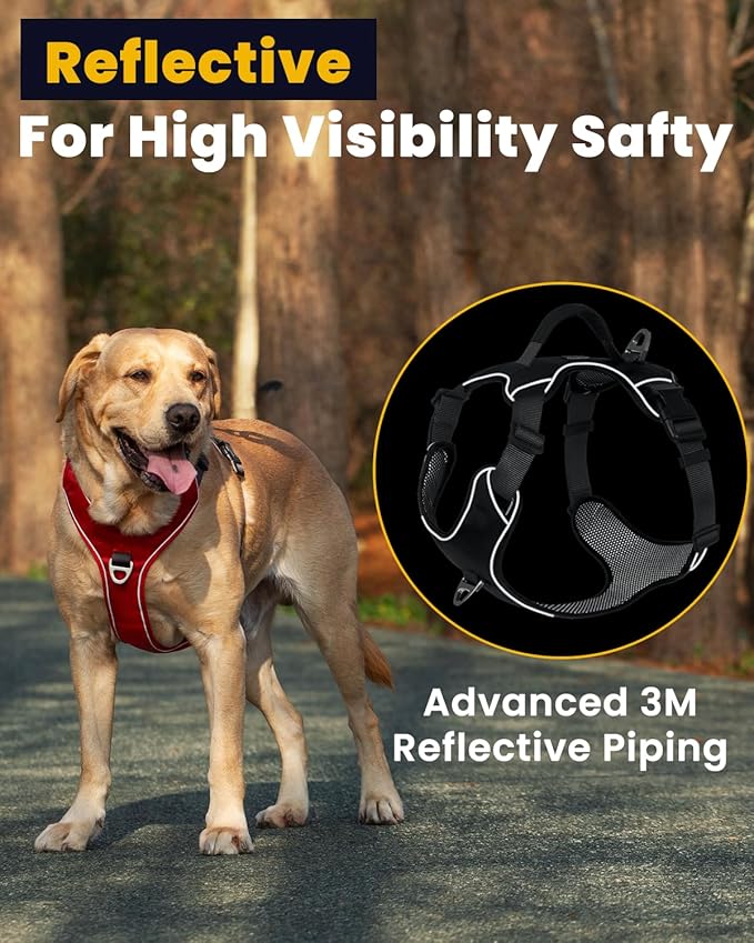 No Pull Dog Harness with 2 Leash Clips, Reflective Vest, Adjustable and Padded, Easy Walk Front/Back Clips (Black, X-Small)