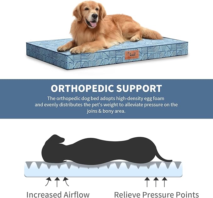 Waterproof Outdoor Orthopedic Dog Bed - All Weather Medium Pet Bed with Egg Crate Foam, Removable Washable Cover, 30x20 Inch, White Blue