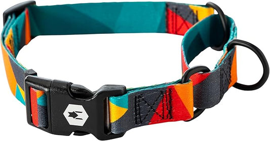 Wolfgang Heavy Duty Martingale Dog Collar with Quick Release Nylon Buckle for Walking & Training, ShatterShapes Print, Medium
