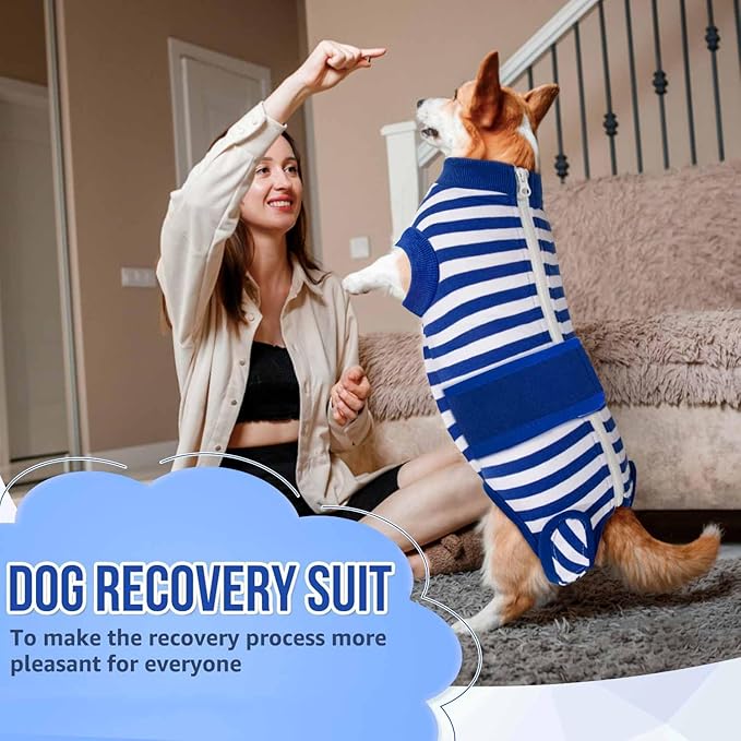 Lukovee Recovery Suit for Dogs, Zipper On Recovery Suit for Female Male Dog, Onesie Abdominal Wounds Cone E-Collar Alternative Prevent Licking Spay Recovery Suit (L,1BL)