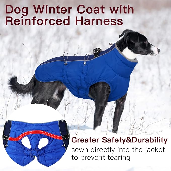 Dog Winter Jacket - Large, Warm Zip Up Snowsuit Dog Harness Vest, Reflective, Water-Resistant, Royal-Blue