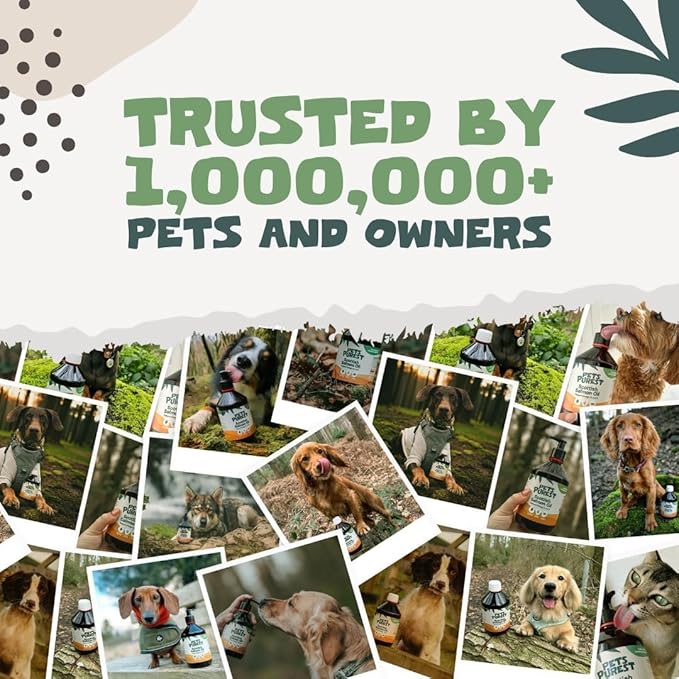 Salmon Oil for Dogs, Cats, Horses, Ferrets & Pets - 32 Fl Oz 100% Pure Premium Food Grade - Natural Omega 3, 6 & 9 Supplement - Promotes Coat, Skin, Joint and Brain Health