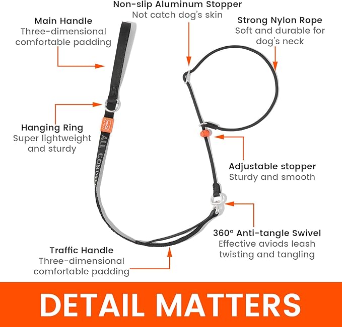 Slip Lead Dog Leash with Double Handles | Reflective Dog Training Leash with 360° Swivel Anti-Tangle | Heavy-Duty Leash and Collar for Large Medium and Small Dogs No-Pull Walking (Mint Green, 5.5FT)