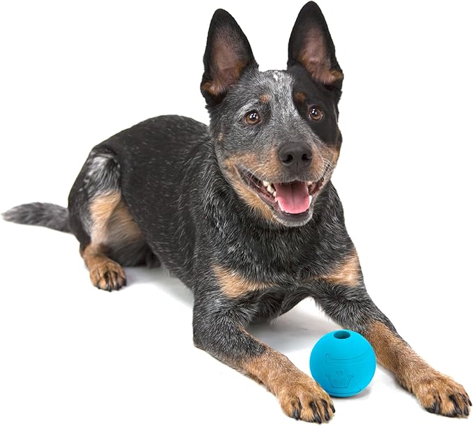 Chew King by Mammoth Glowing Fetch Ball, Dog Ball Toys, 2.5" Combo