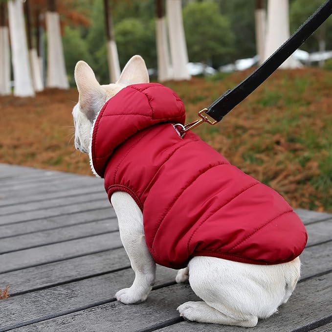 Fleece Hoodie, Windproof Waterproof Dog Coat, Winter Warm Jacket, Cold Weather Pet Apparel Clothes Vest for Small Medium Large Dogs (S, Red)