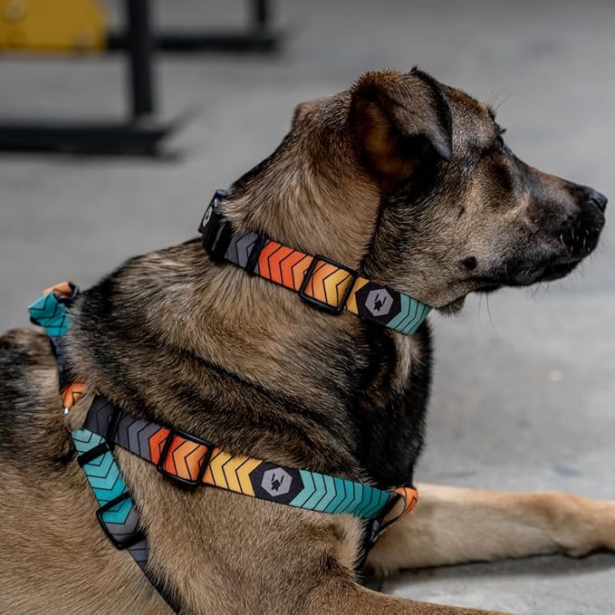 Wolfgang Heavy Duty Adjustable Dog Harness, Pull-Tested to Over 800 lbs for Walking & Training, ChevTech Print, Small