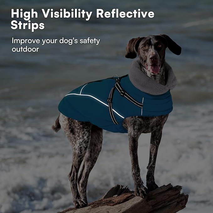 Queenmore Small Dog Coat,Dog Coat for Small Dogs,Reflective Windproof Dogs Jackets with Built-in Harness,Doggy Winter Jacket with Zipper On Back,Warm Pet Coats with Fleece Lining,Blue,S