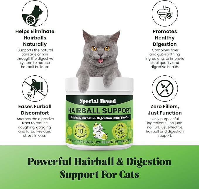 Hairball Support for Cats - 10 Super Ingredients for Hairball Relief, Digestive Support & Healthy Skin - No Fillers - Psyllium, Pumpkin, Omega-3s & More - 120 Scoops