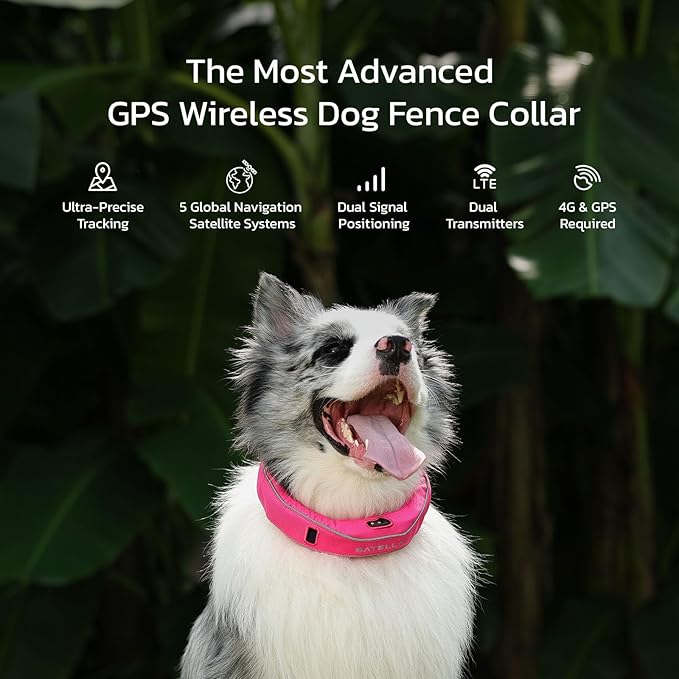 SATELLAI GPS Dog Collar, Gray [Free 1-Year Membership] The Most Advanced Dog Wireless Fences with AI Analysis, Precise Position, 5-Day Battery, and IP68 Waterproof, Flexible Virtual Fencing for Dogs