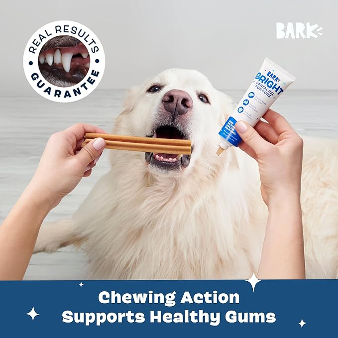 Barkbox Bright Original Dog Dental Kit, 30 Teeth Cleaning Chew Sticks & Toothpaste, Large Breeds