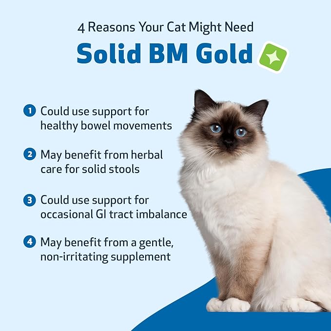Pet Wellbeing Solid BM Gold for Cats - Supports Healthy Digestive Function, Solid Stools, Normal Bowel Movements, Bayberry- Veterinarian-Formulated Herbal Supplement 2 oz (59 ml)