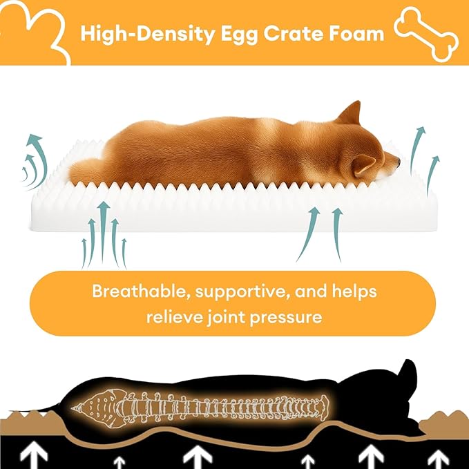 FUNNY FUZZY Orthopedic Dog Bed – Washable Dog Bed with Double Layer Plush Cushion Sofa Style Design with Bolstered Sides for Small Medium & Large Dogs Removable Cover XL Size (39.3"x26.7"x7.8") Beige