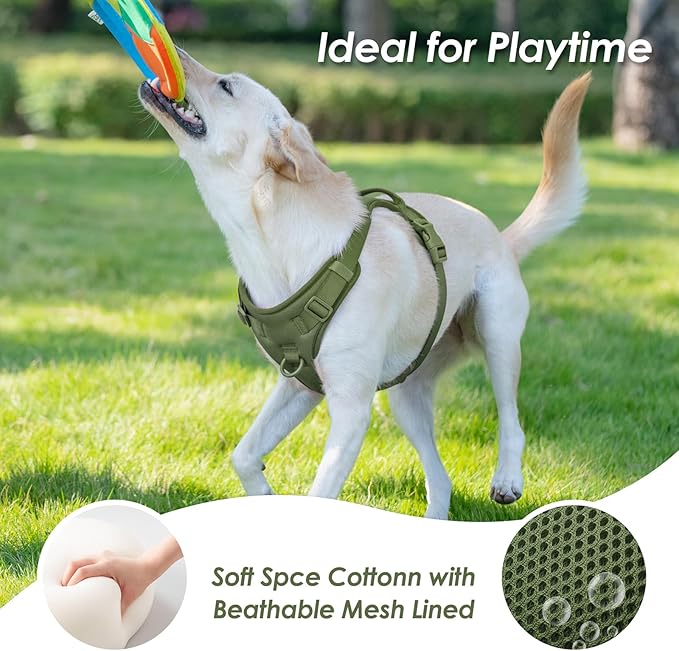 No Pull Dog Harness, Puppy Vest with Front Clip for Small Medium Large Sized Dog (Misty Green,XL)