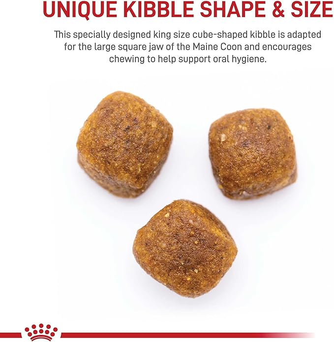 Royal Canin Maine Coon Breed Adult Dry Cat Food, 14 lb bag