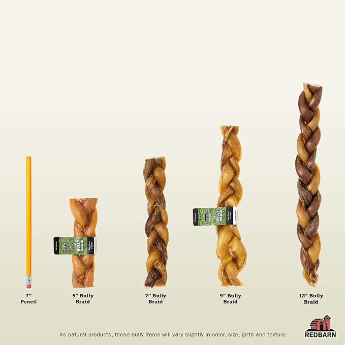 Redbarn Pet Products 12" Braided Bully Sticks for Dogs, Pack of 25
