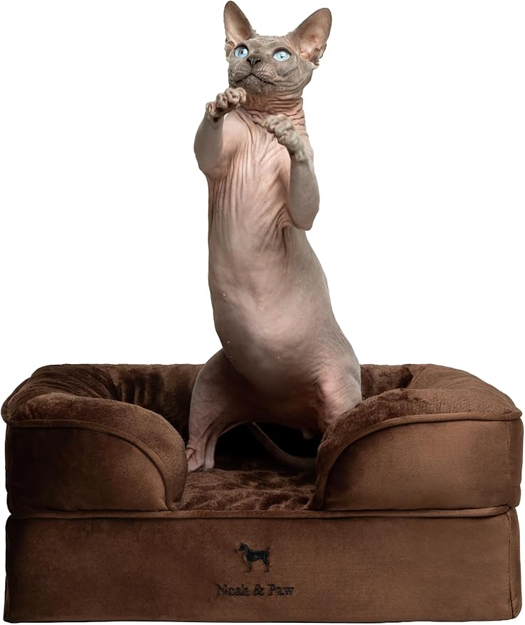 NOAH & PAW Small Dog Bed, 20x15x8 Inch, Cat Bed for Indoor Cats, Orthopedic Eggshell Memory Foam Infused with Cooling Gel, Waterproof Inner Cover Machine Washable (Velvet Collection)