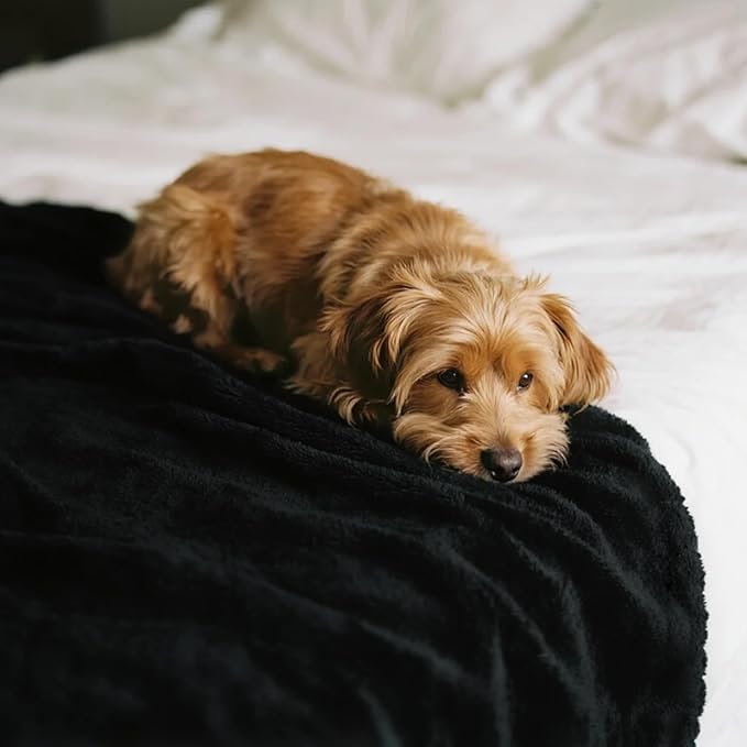 gogobunny Waterproof Bed Blanket, Reversible Sherpa Fleece Throw Blanket for Dog Puppy Cat, Furniture Cover Protects Bed Couch Sofa from Liquid Pee and Pet Fur (Black, 90x90 inches)