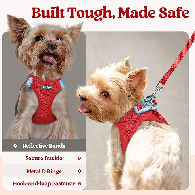 rabbitgoo Dog Harness Small Sized and Leash Set, Step in Soft Light Puppy Vest, Breathable Mesh Pet Harness, Reflective for Outdoor Safe Walking, Red XXL