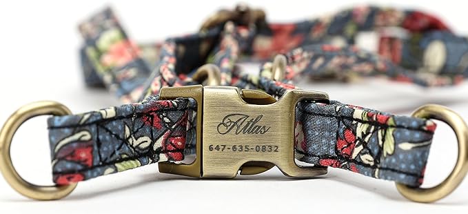 Angie and Allie Organic Cotton Personalized Step in Dog Harness,Custom Dog Halter Vests,Adjustable No Pull Canine Halter Harness for Small Medium Large Dogs