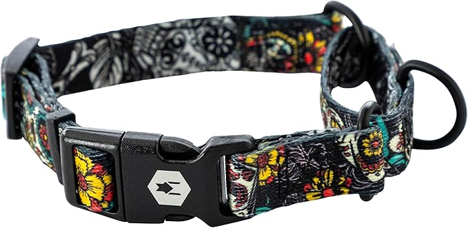 Wolfgang Heavy Duty Martingale Dog Collar with Quick Release Nylon Buckle for Walking & Training, LosMuertos Print, Medium