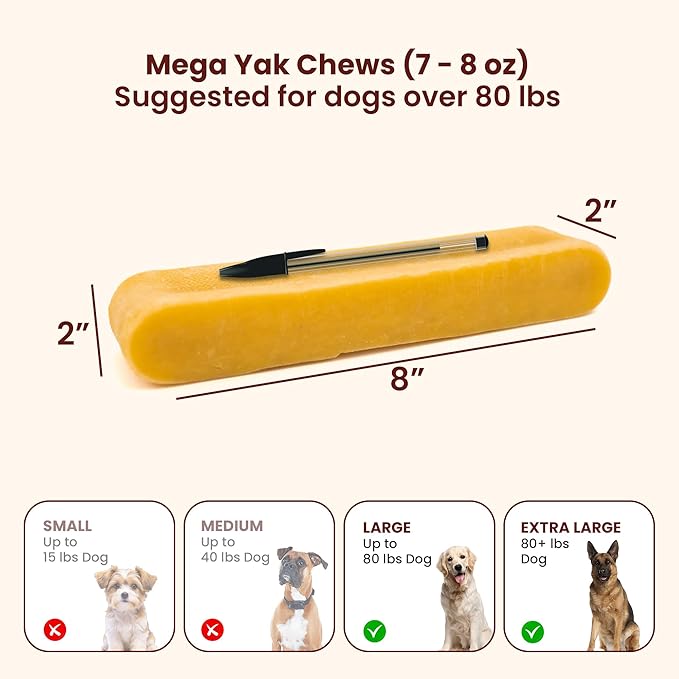 Authentic Himalayan Yak Cheese for Dogs - Mega (Pack of 1) - Sourced from Pristine Himalayan Foothill, Rawhide-Free, NO preservatives