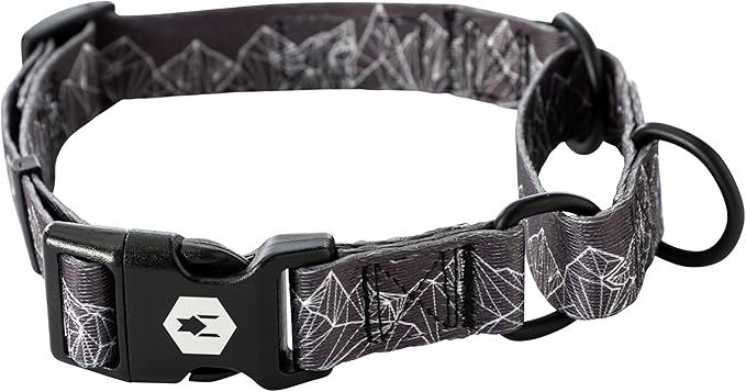 Wolfgang Heavy Duty Martingale Dog Collar with Quick Release Nylon Buckle for Walking & Training, WolfMountain Print, Medium