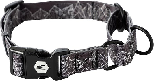 Wolfgang Heavy Duty Martingale Dog Collar with Quick Release Nylon Buckle for Walking & Training, WolfMountain Print, Medium