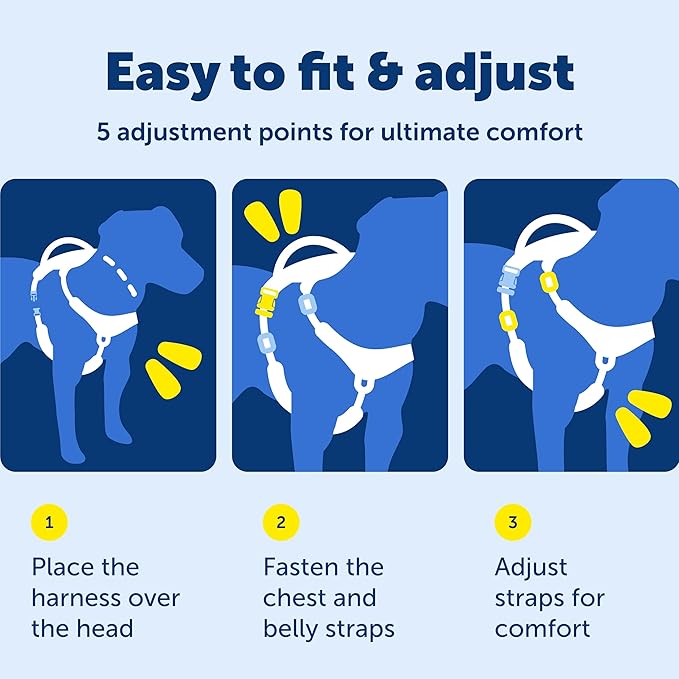 PetSafe Easy Walk Comfort No-Pull Dog Harness - Better Walk Training Harness - Full Body Padded Design - Durable Fabric - 5 Point Adjustable Fit - Everyday Leash Training - Blue - X-Small