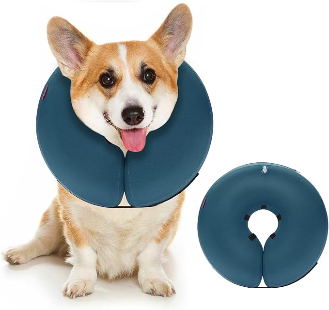 MIDOG Inflatable Dog Cone Alternative for After Surgery - Soft Protective Donut Collar Prevents Licking & Allows Eating, Comfortable Recovery E-Collar Alternative for Small Medium Large Dogs (Blue,S)