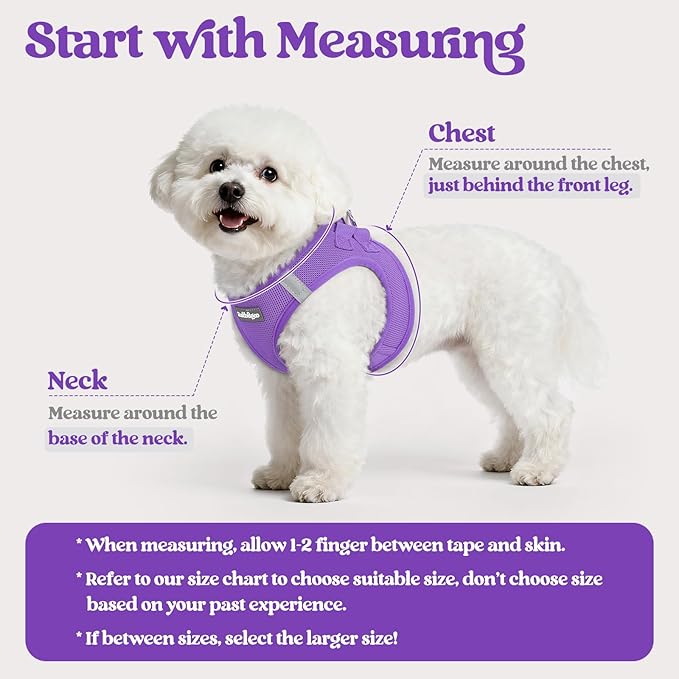 rabbitgoo Dog Harness Small Medium Sized and Leash Set, Step in Soft Light Puppy Vest, Breathable Mesh Pet Harness, Reflective for Safe Outdoor Walking, Purple L