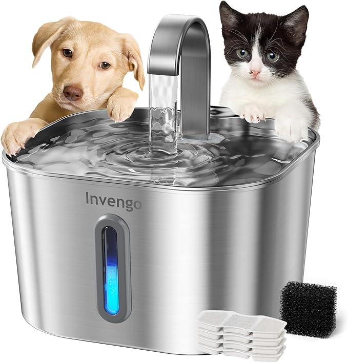 Cat Water Fountain Stainless Steel: 74oz/2.2L Cat Fountain for Drinking | Quiet Cats Water Bowl Dispenser | Pet Water Fountain for Cats Inside | Easy-to-Clean Kitty Drinking Fountains for Small Pets
