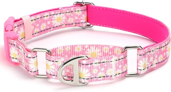 Martingale Collar for Dogs - Pink Daisy Reflective Nylon, No Slip Choke Heavy Duty Collar with Quick Release Buckle & Padded Comfort - Safe Fit for Training & Walking Medium