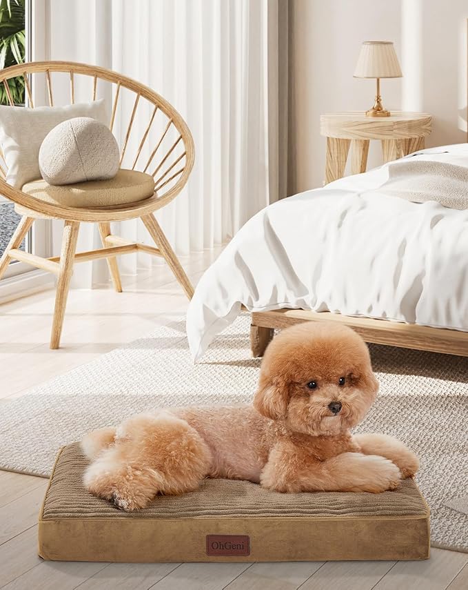 OhGeni Orthopedic Waterproof & Machine Washable Dog Bed for Small Pets, Suitable for Crates, Cat Mat with 25D Egg Crate Foam, Non-Slip Bottom & Removable Cover, 24 Inches(Coffee)