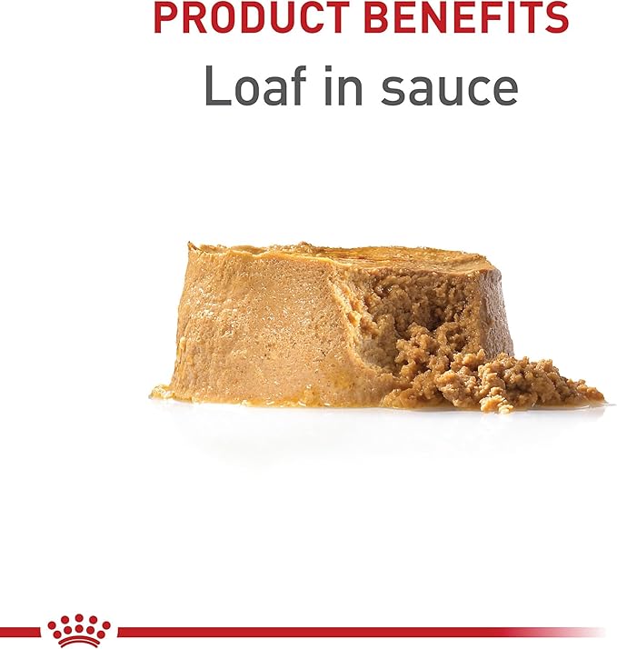 Royal Canin Canine Health Nutrition Puppy Loaf in Sauce Dog Food, 5.2 oz (Pack of 24)