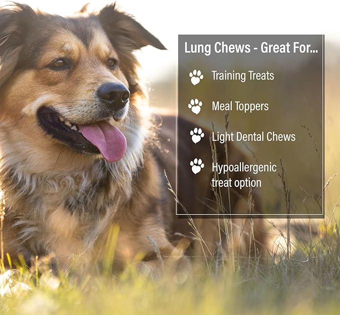 ValueBull Beef Lung Wafers, Premium 4 Pounds - Angus Beef Dog Treats, Grass-Fed, Single Ingredient