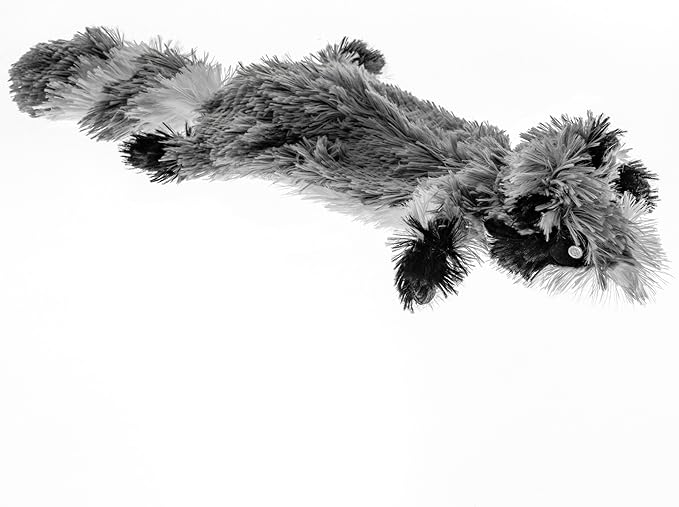 FGA MARKETPLACE Racoon Flat NO Stuffing NO Squeak Plush Dog Toy, Funny Style Will Entertain Your Pet for Hours, Recommended for Small and Medium Dog 21 INCH Long