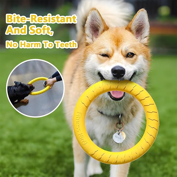 Outdoor Dog Flying Disc Toy, Floating Ring Toys, Dogs Chew Toys Pet Chewers for Small Medium Large Puppy Training Fetching Throwing Catching Interactive Play, Swimming, Water Floats Toys (11''/ 29cm)