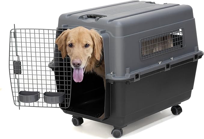 SportPet Designs Plastic Airline Approved Kennels Wire Door Travel Dog Crate, Large