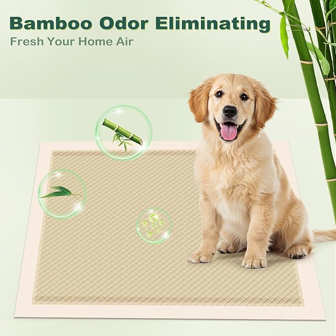 MIZOK Puppy Pads Small 22x22 Pee Pads for Dogs Bamboo Odor Eliminating & 6-Layer Absorbent Leak-Proof Dog Pee Pads Potty Training with Adhesive Tabs, Disposable (50 Counts)
