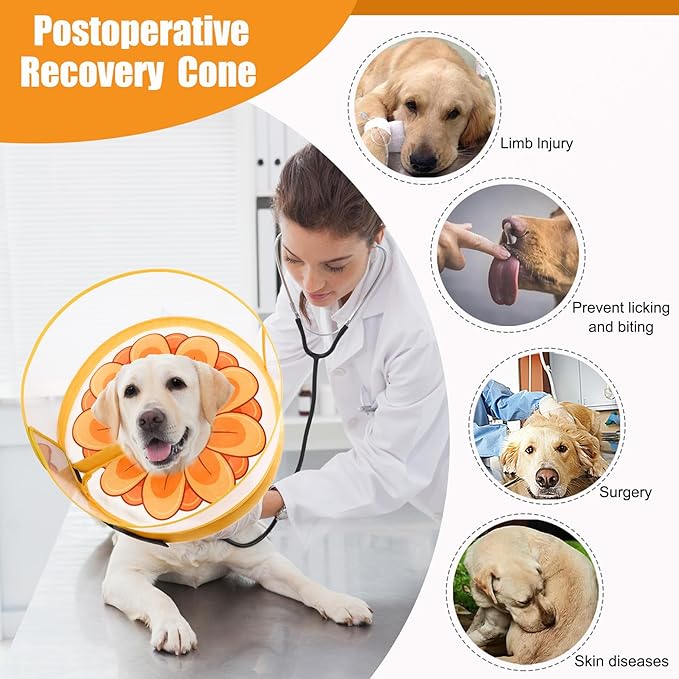 Inflatable Dog Cone Collar with Enhanced Anti-Licking, Soft Neck Donut for Dogs Cats, Recovery Pet Cone Collar After Surgery for Large Medium Small Dogs (Yellow Flower, Medium+)
