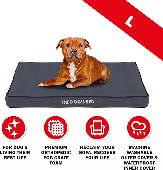 The Dog’s Bed Orthopedic Dog Bed, Large Grey with Black Trim, Waterproof, Supportive Dog Bed with Washable Replaceable Covers