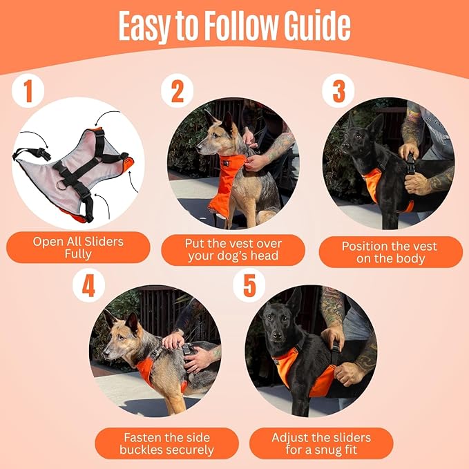 YAP Techno® No Pull Harness Medium Size Dog, 4-Way Adjustable,Temperature Controlled Pet Vest Harness with Easy Control Handle, Dog Harness No Choke for All Breeds; 25-45 lbs (Signal Orange, Medium)