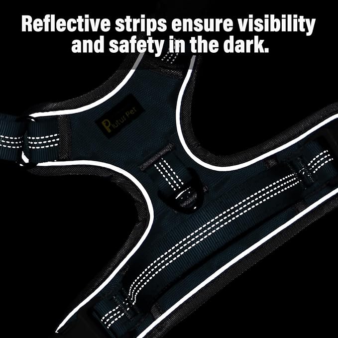 Plutus Pet No Pull Dog Harness, Release at Neck, Reflective Adjustable Dog Vest Harness, Easy Control Handle for Walking, for Small Medium Large Dogs, Cyan, S