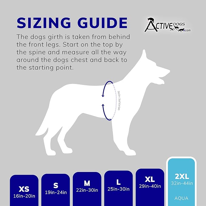 ActiveDogs Full Service Dog Kit - 2XL Aqua - Service Vest Harness with Handle, ID Holder, ADA Cards, Medical Alert Keychain, Leash & Patches