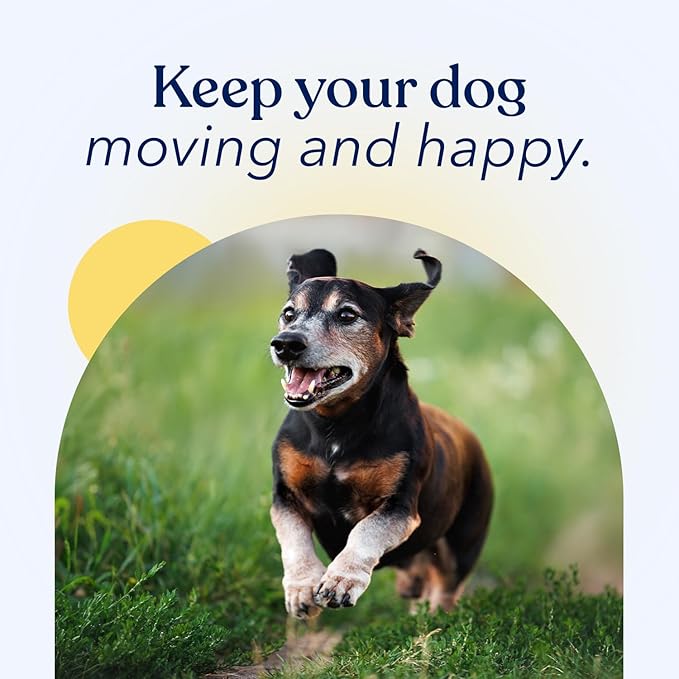Honest Paws Joint Supplement for Dogs - Supports Mobility, Hip & Joint Health, Eases Stiffness - Glucosamine, Green Lipped Mussel, Fish Oil, Chondroitin Sulfate, MSM, Vitamin C