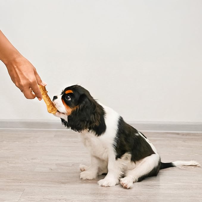 Fieldcrest Farms Nothin' to Hide 3 inch Ultra Knotted Bone Treats - Natural Rawhide Alternative Treats for Dogs, Collagen Based Snack for Heavy Chewers up to 15lbs - Chicken Flavor, 12 Pack