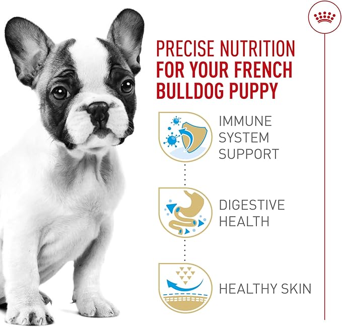 Royal Canin Breed Health Nutrition French Bulldog Puppy Dry Dog Food, 10.5 lb Bag